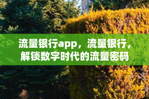 解锁数字时代的流量密码图片