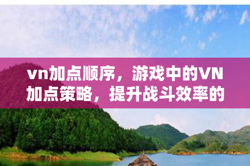 游戏中的VN加点策略图片