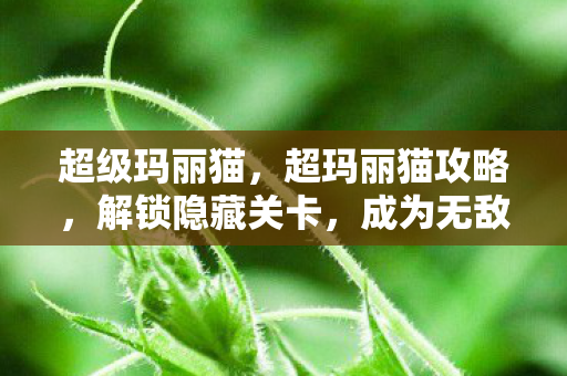 成为无敌小英雄图片