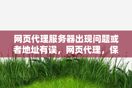 网页代理服务器出现问题或者地址有误图片