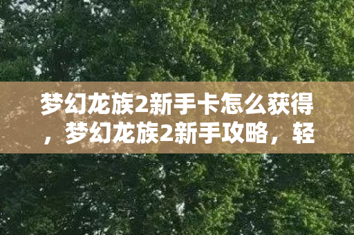 梦幻龙族2新手卡怎么获得，梦幻龙族2新手攻略，轻松上手，玩转龙族世界！
