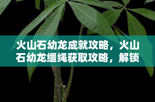 火山石幼龙缰绳获取攻略图片