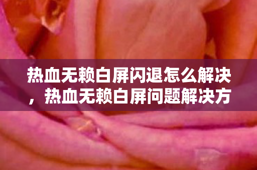 热血无赖白屏闪退怎么解决图片