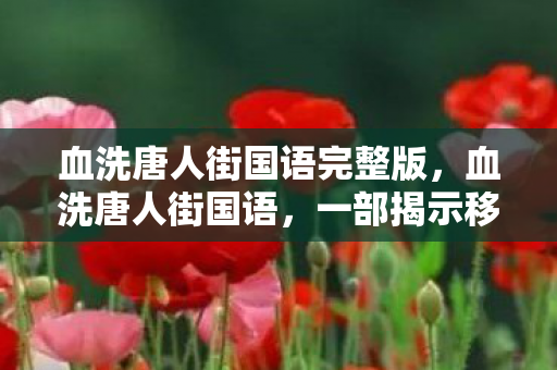 一部揭示移民生存困境的力作图片