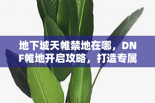 打造专属地下城世界的秘密图片