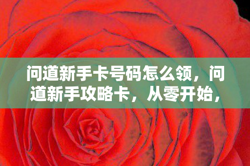 问道新手卡号码怎么领，问道新手攻略卡，从零开始，轻松玩转游戏世界！