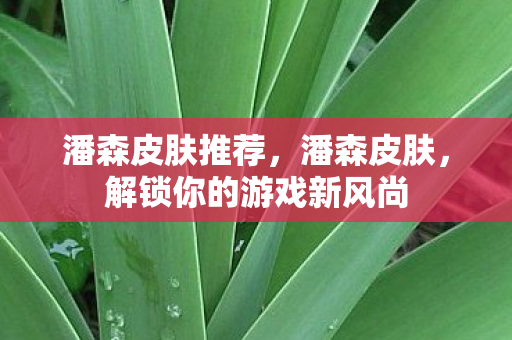 解锁你的游戏新风尚图片