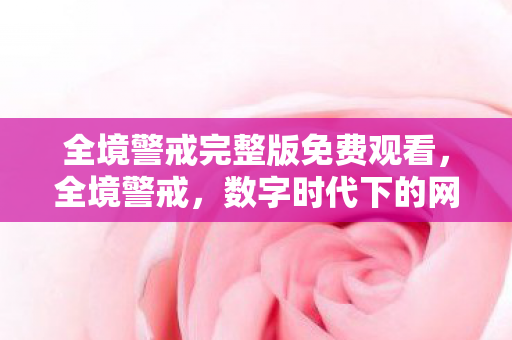 数字时代下的网络安全挑战与应对策略图片