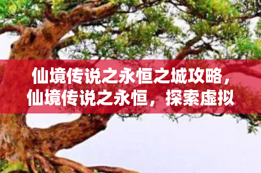 仙境传说之永恒之城攻略图片