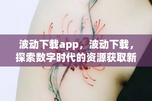 探索数字时代的资源获取新方式图片