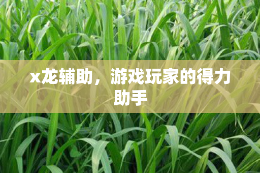 游戏玩家的得力助手图片