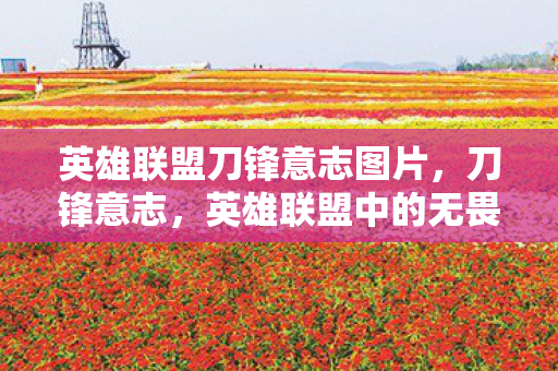 英雄联盟刀锋意志图片图片