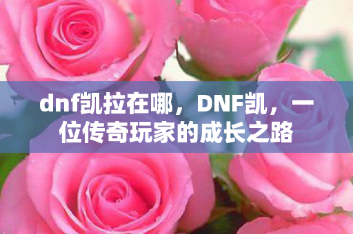 一位传奇玩家的成长之路图片