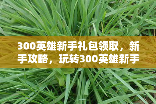 300英雄新手礼包领取，新手攻略，玩转300英雄新手礼包一网打尽！