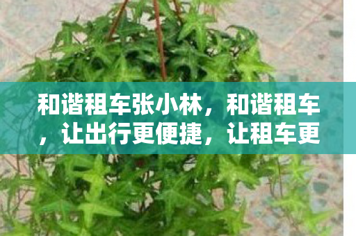 和谐租车张小林图片