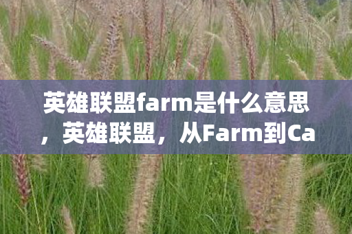 从Farm到Carry的蜕变图片