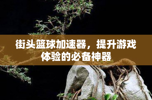 提升游戏体验的必备神器图片