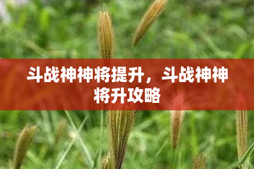 斗战神神将升攻略图片