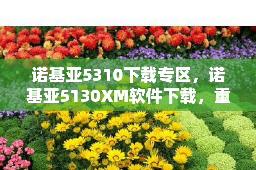 诺基亚5130XM软件下载图片