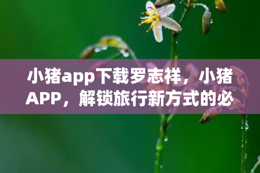 解锁旅行新方式的必备神器图片