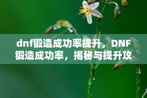 dnf锻造成功率提升图片