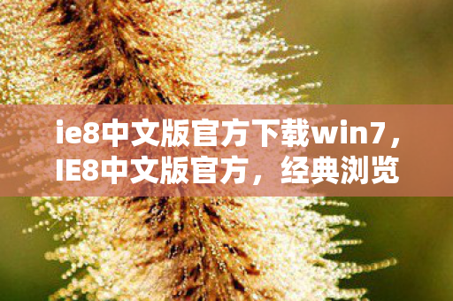 ie8中文版官方下载win7图片