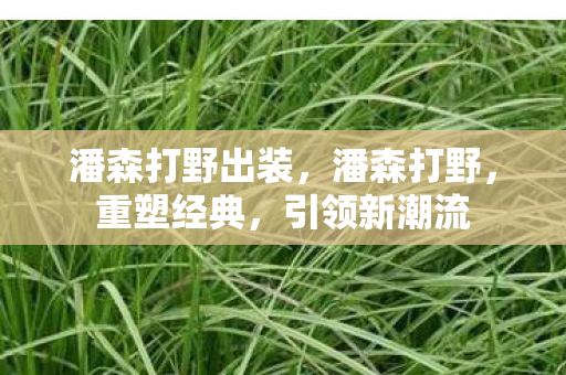 潘森打野出装图片