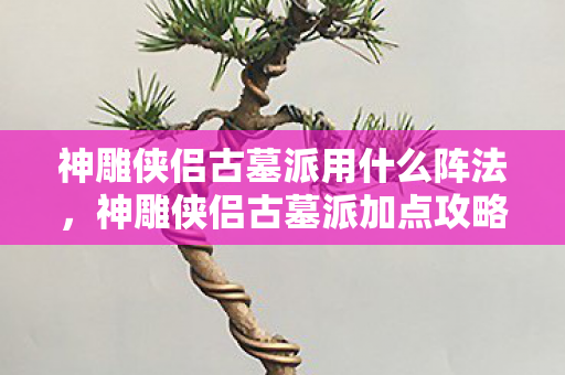 神雕侠侣古墓派用什么阵法图片