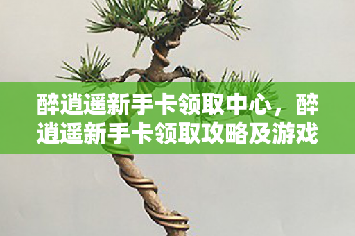 醉逍遥新手卡领取中心，醉逍遥新手卡领取攻略及游戏初探