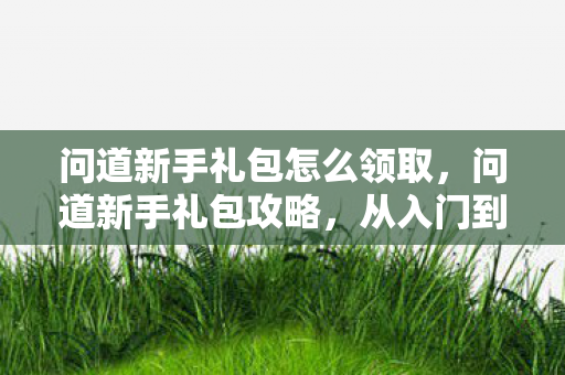 问道新手礼包怎么领取，问道新手礼包攻略，从入门到精通，轻松玩转游戏！
