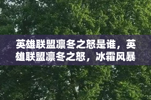 英雄联盟凛冬之怒是谁图片