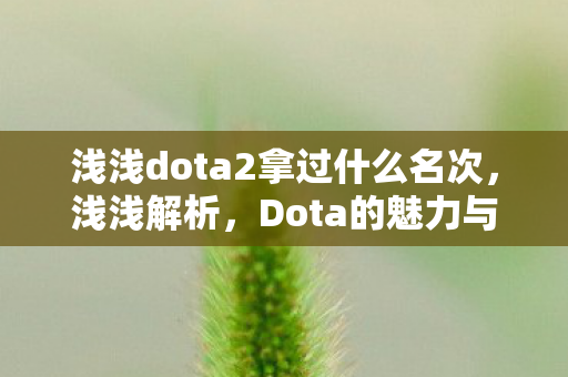 浅浅dota2拿过什么名次图片