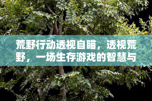 一场生存游戏的智慧与策略图片