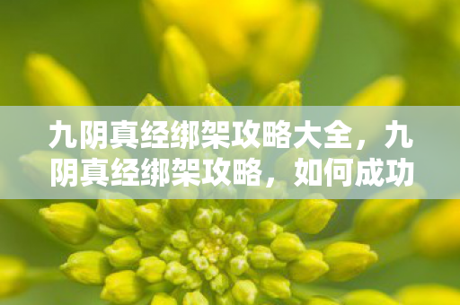 如何成功实施一场完美的绑架计划图片