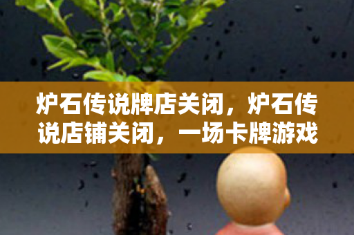 一场卡牌游戏的兴衰沉浮图片