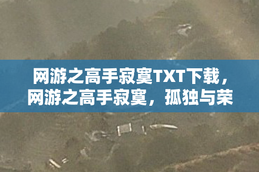 网游之高手寂寞TXT下载图片