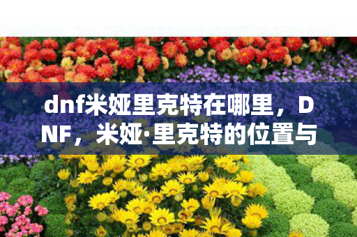 dnf米娅里克特在哪里图片