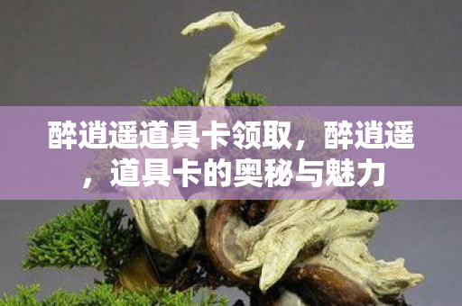 醉逍遥道具卡领取，醉逍遥，道具卡的奥秘与魅力