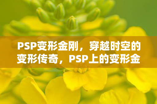PSP上的变形金刚游戏回顾图片