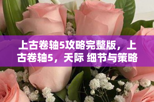 天际 细节与策略完全攻略图片