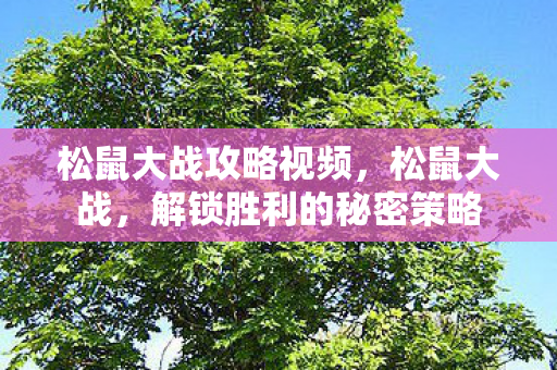 解锁胜利的秘密策略图片