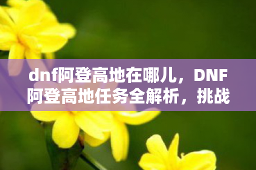 DNF阿登高地任务全解析图片
