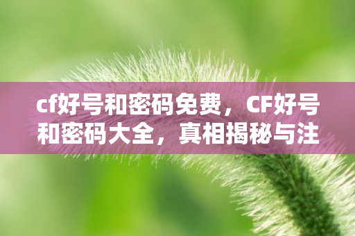 cf好号和密码免费图片