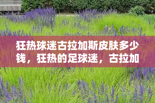 狂热球迷古拉加斯皮肤多少钱图片