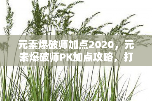 元素爆破师加点2020图片