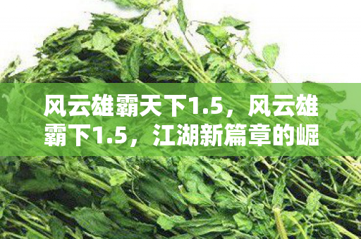 风云雄霸天下1.5，风云雄霸下1.5，江湖新篇章的崛起