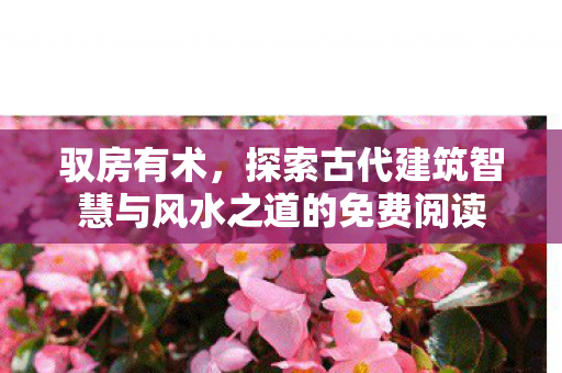 驭房有术，探索古代建筑智慧与风水之道的免费阅读
