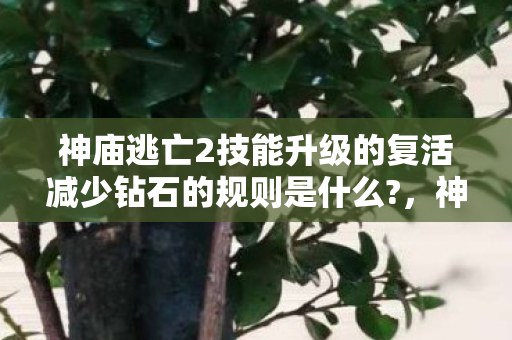 神庙逃亡2技能升级的复活减少钻石的规则是什么?，神庙逃亡2技能升级攻略，解锁无限可能，提升你的游戏实力