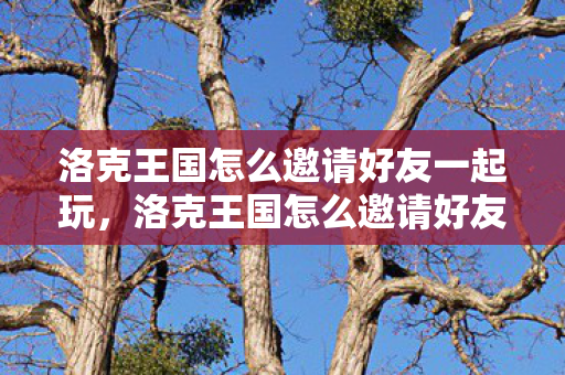 洛克王国怎么邀请好友一起玩图片