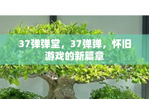 37弹弹堂，37弹弹，怀旧游戏的新篇章